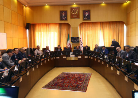 ضرورت تعیین تکلیف مالکیت «شاد»